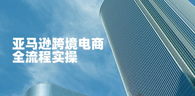(14252期)亚马逊跨境电商全流程实操,教你从零开始,掌握店铺运营与广告技巧-轻创终点站